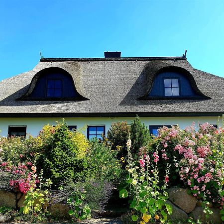 Insel Landhaus Bernstein Villa Gager Luaran gambar